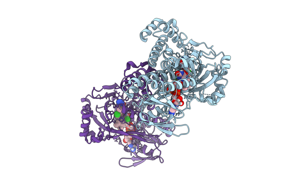 6FPH image