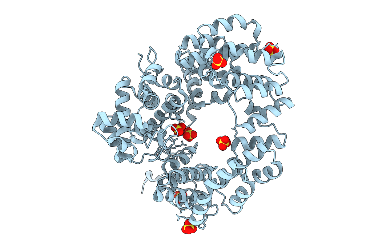 6FPN image