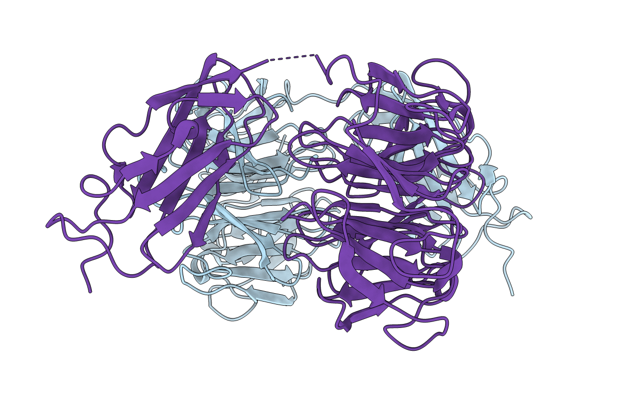 6FPT image