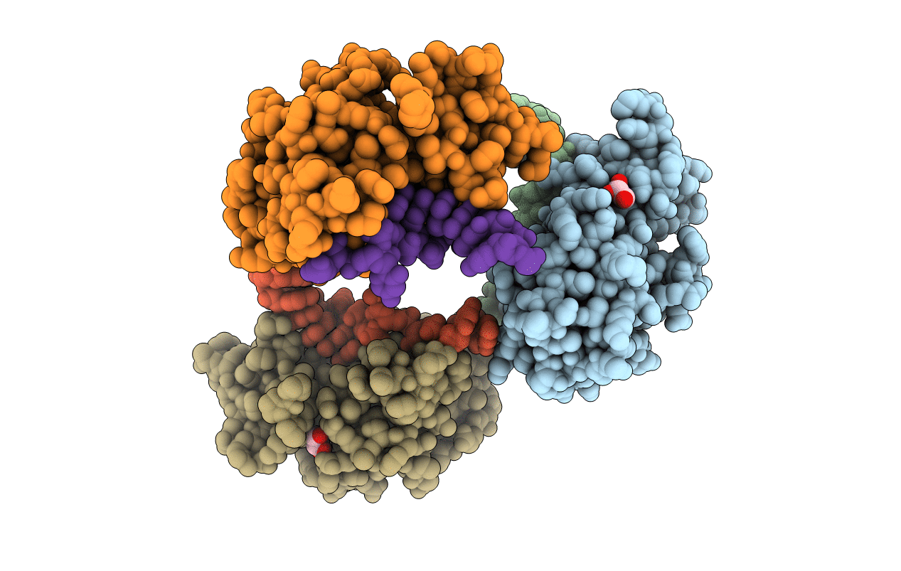 6FPX image