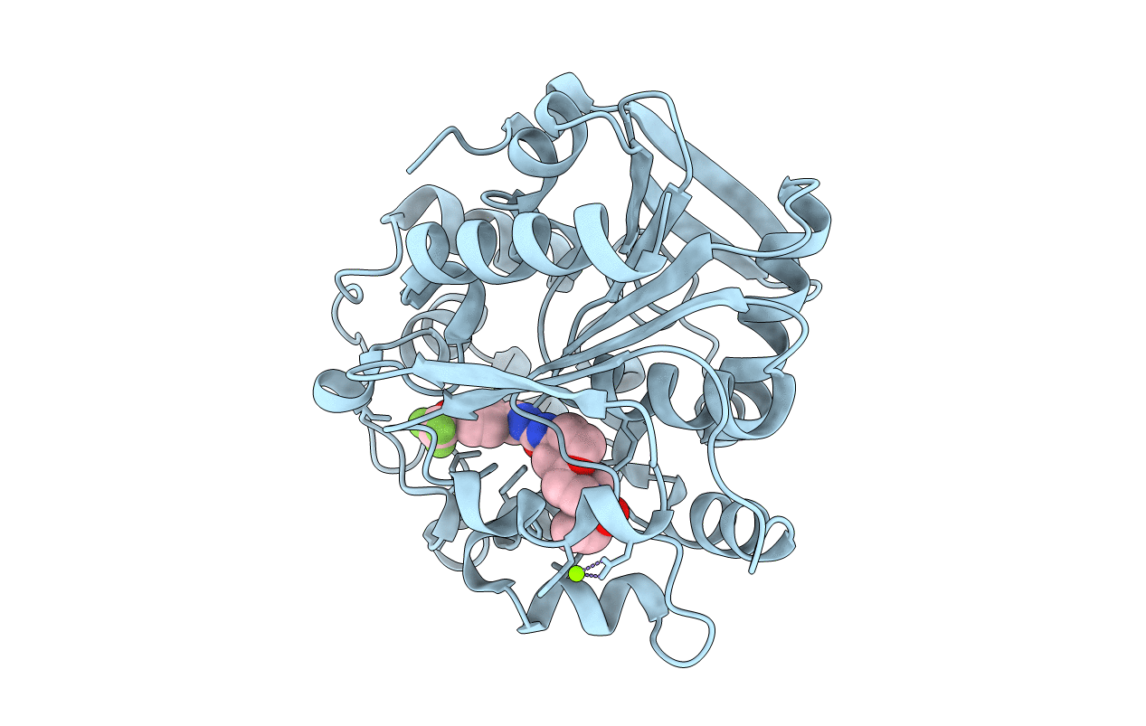 6FR2 image