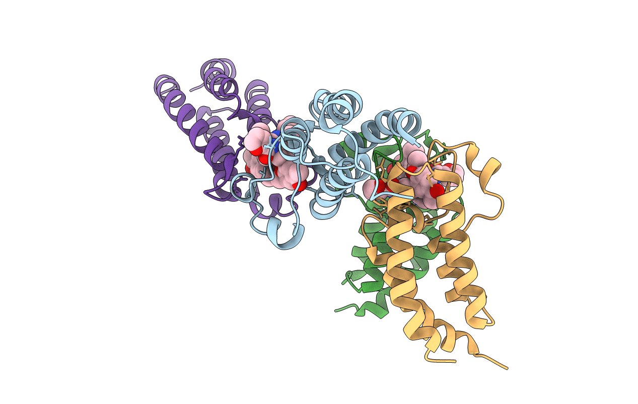 6FRF image