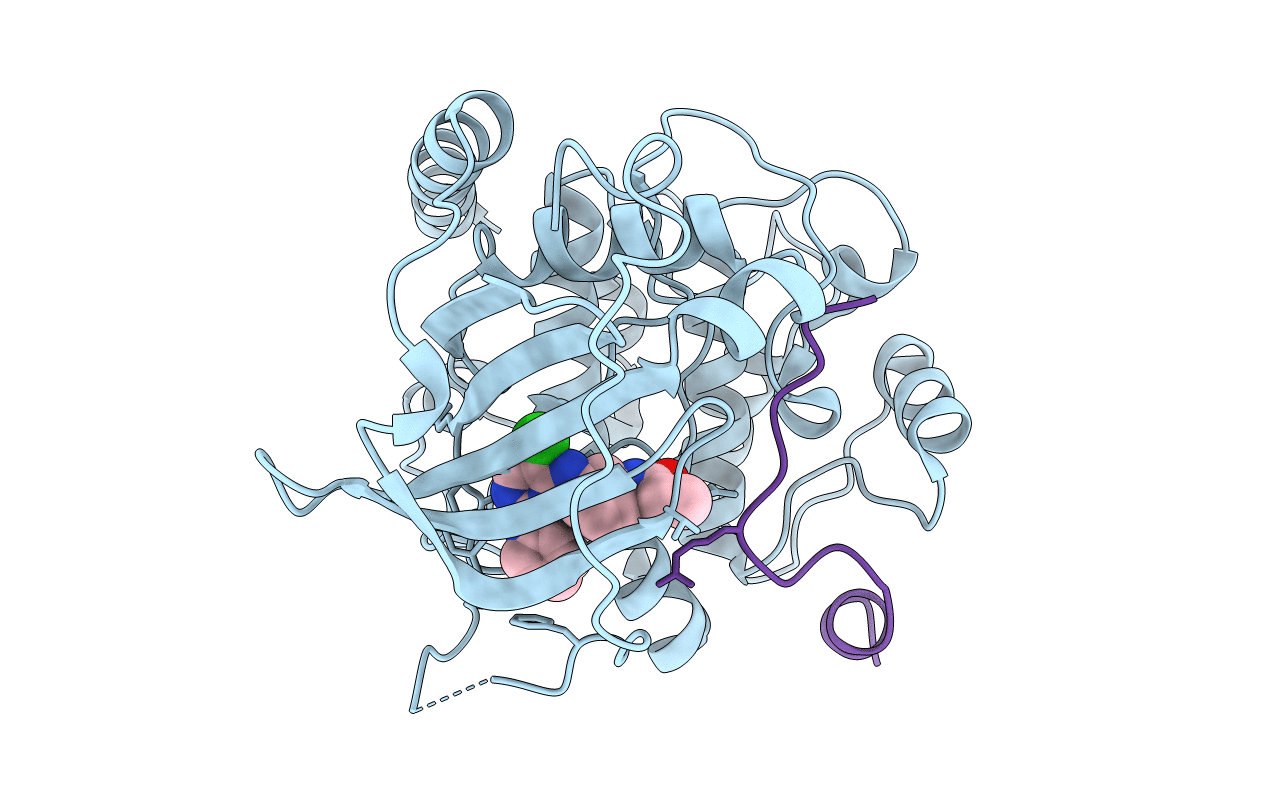 6FRX image