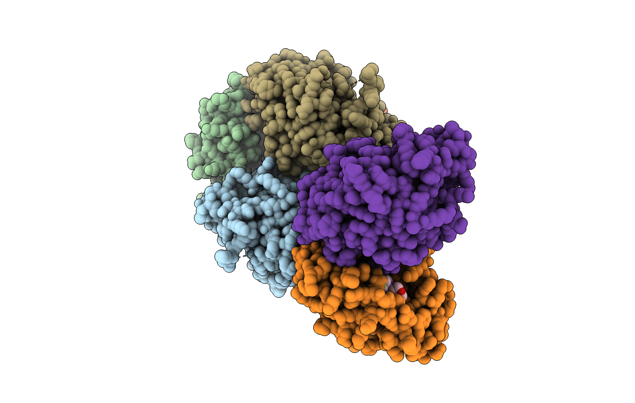 6FS7 image