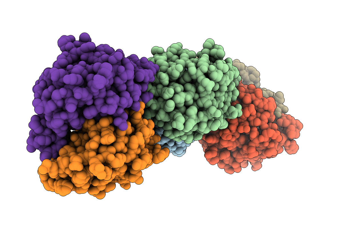 6FSP image