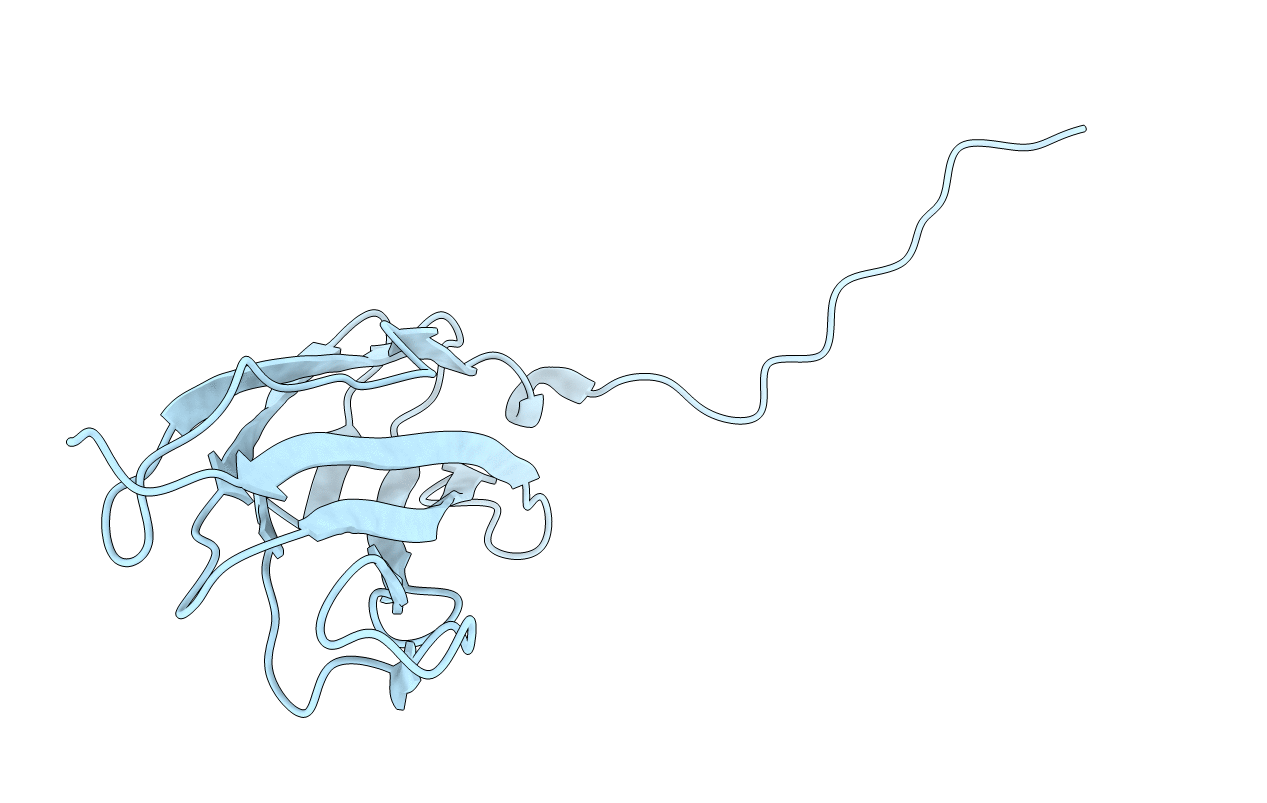 6FVI image