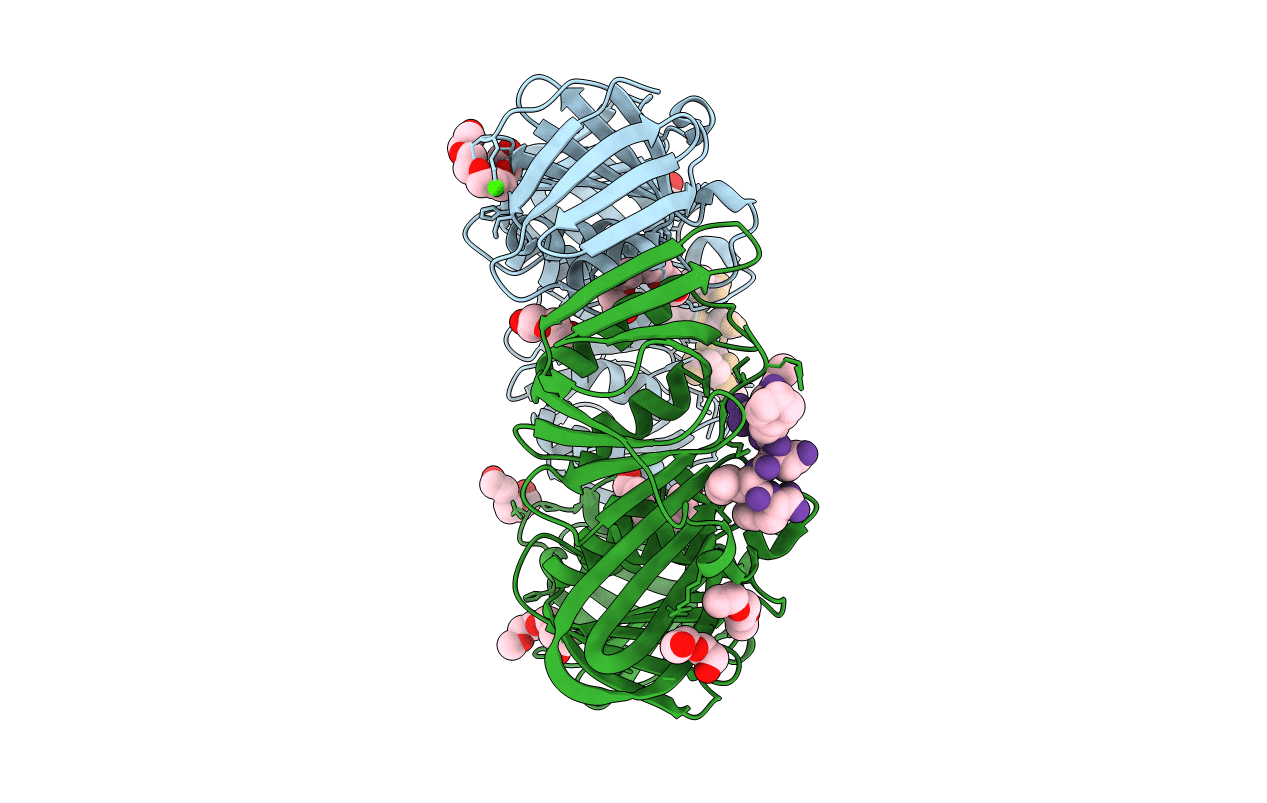 6FVM image