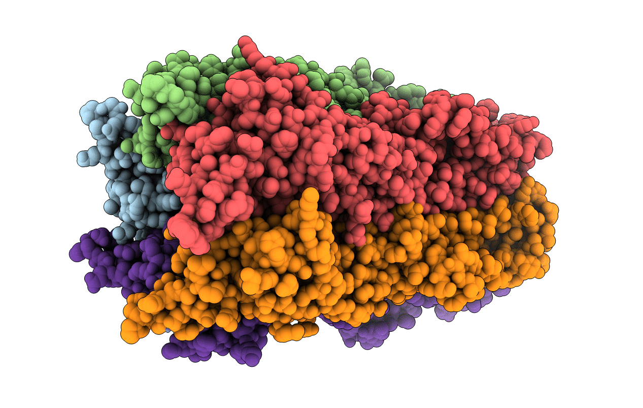 6FVS image