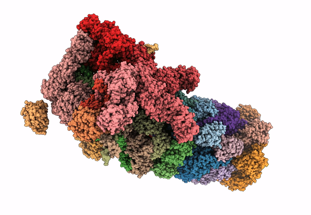 6FVX image
