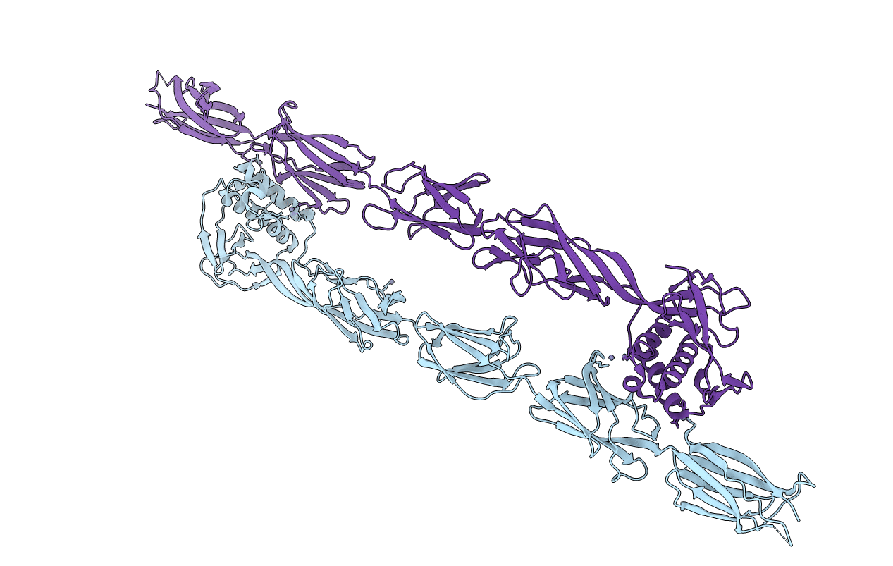 6FWV image