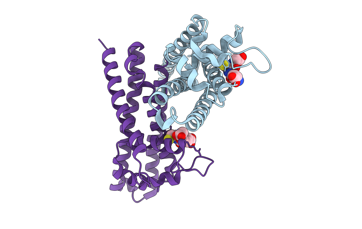 6FXE image