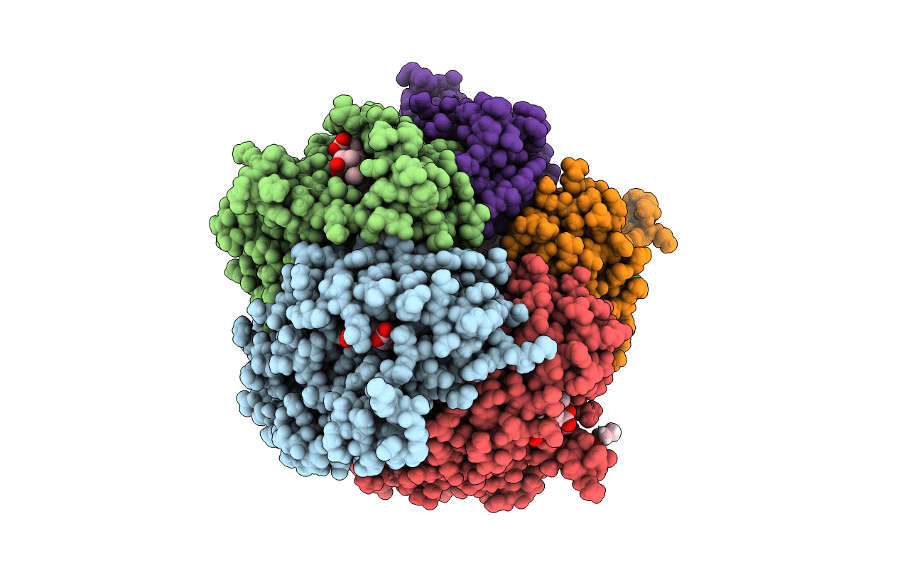 6FXJ image