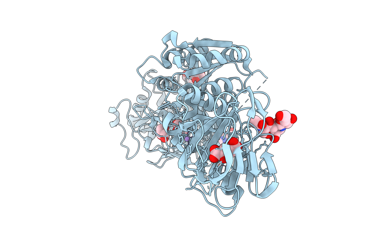 6FXM image