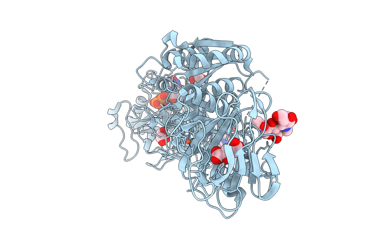 6FXR image