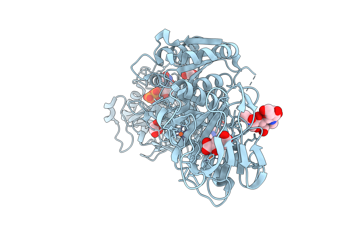 6FXT image