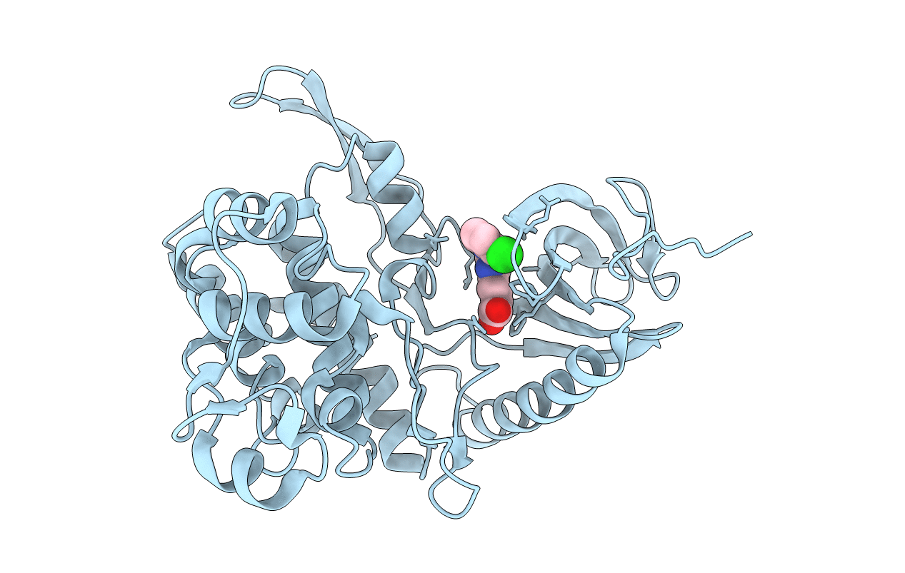 6FYP image
