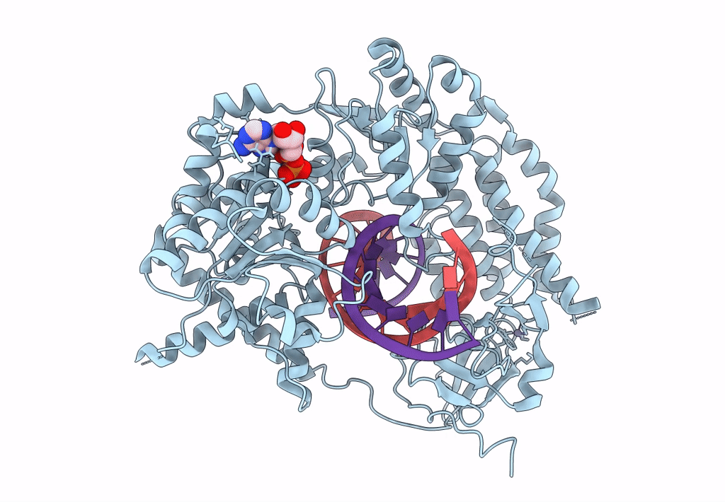6G19 image