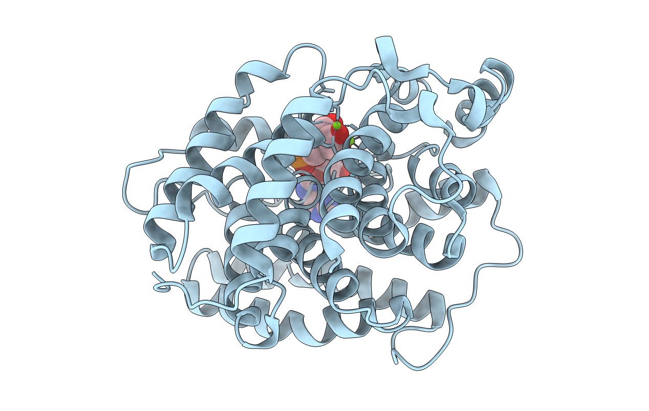 6G28 image