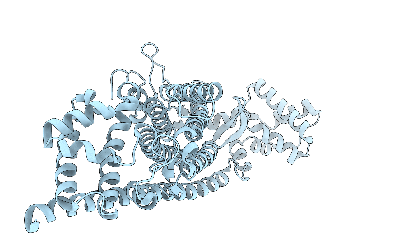 6G3D image