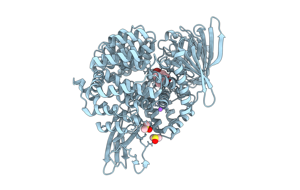 6G8B image