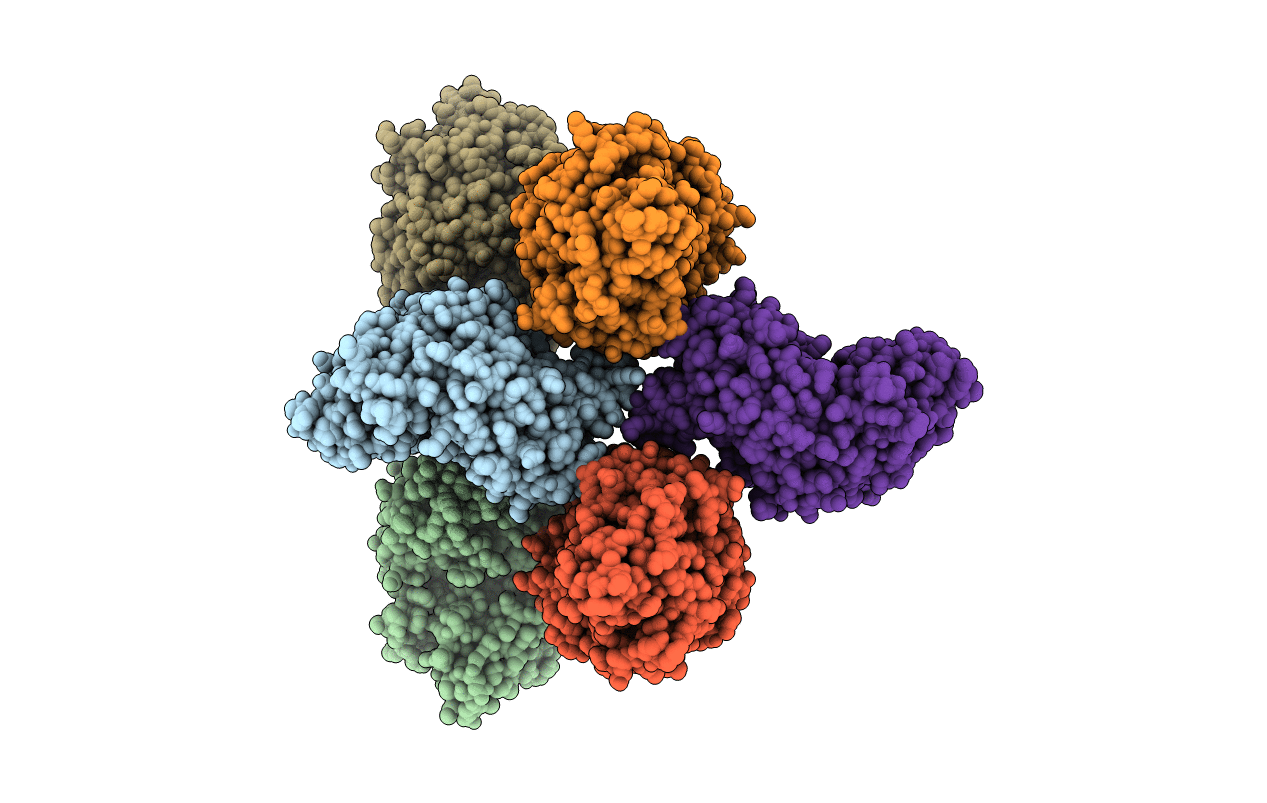6G9E image