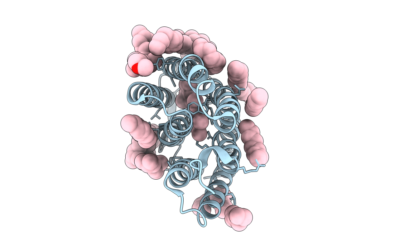 6GA4 image