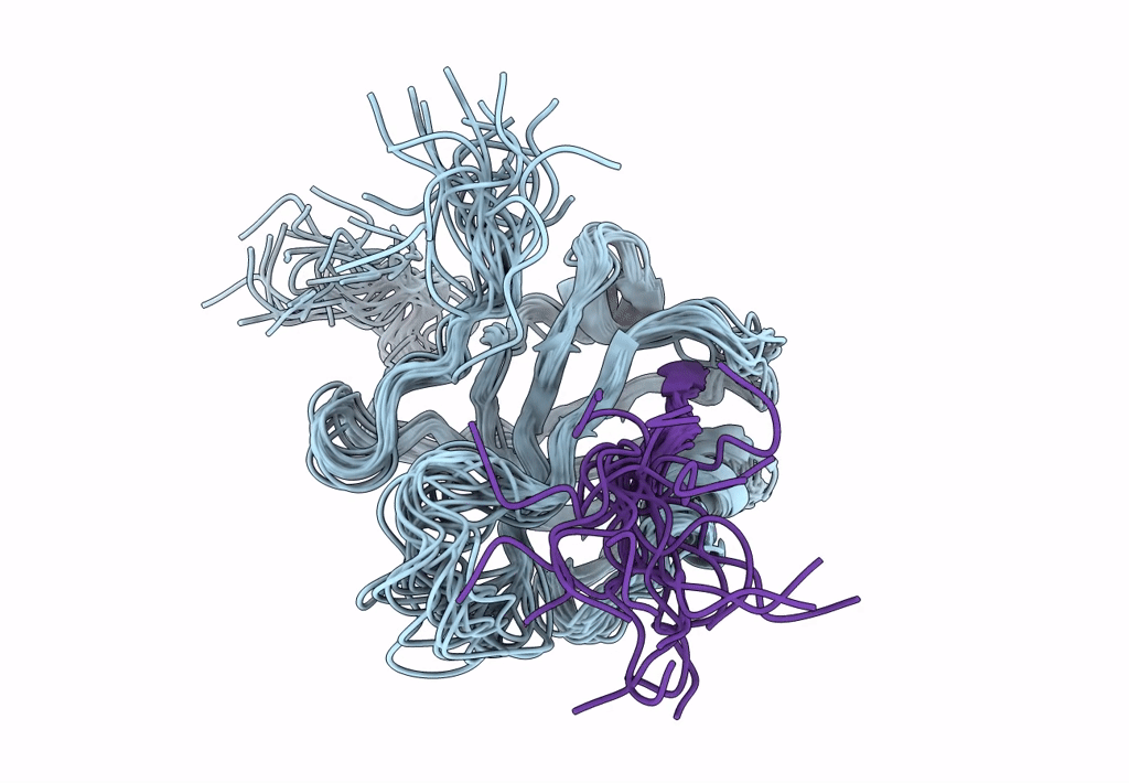6GBE image