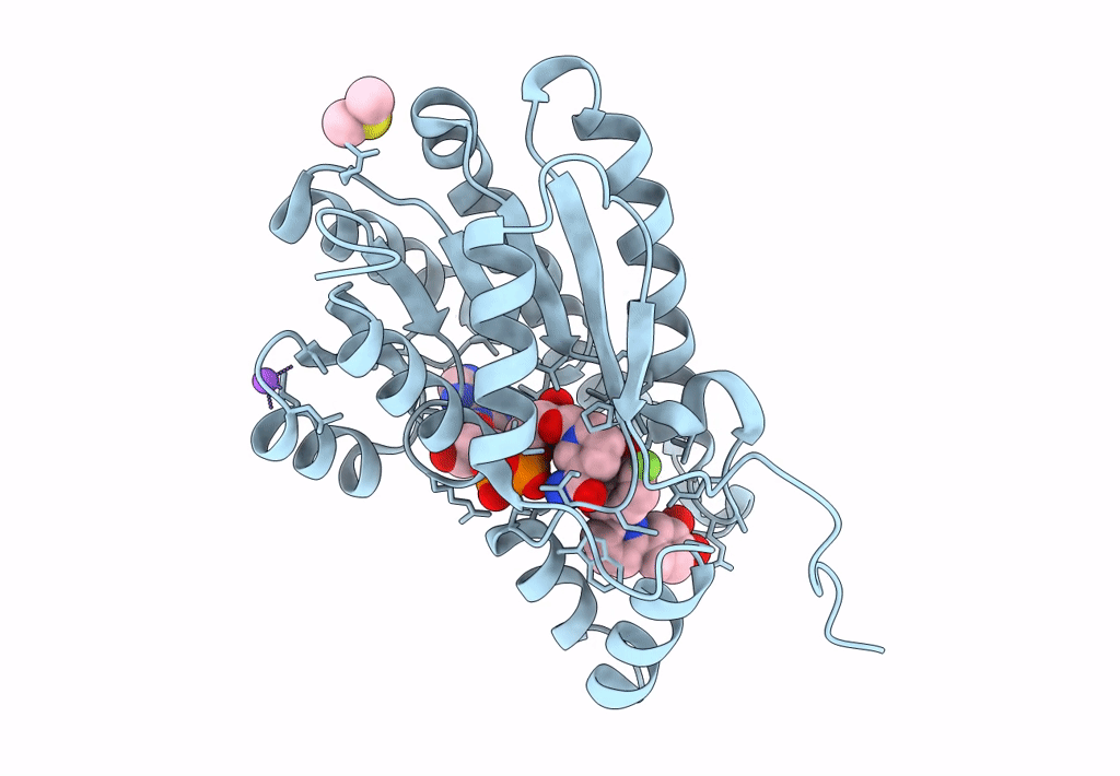 6GBT image