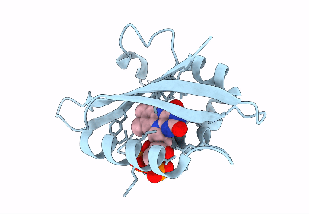 6GBV image