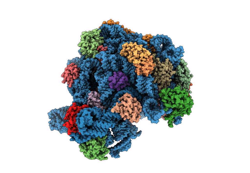 6GC4 image