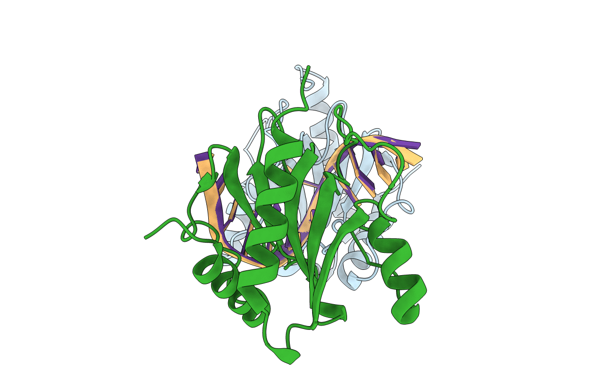 6GCD image
