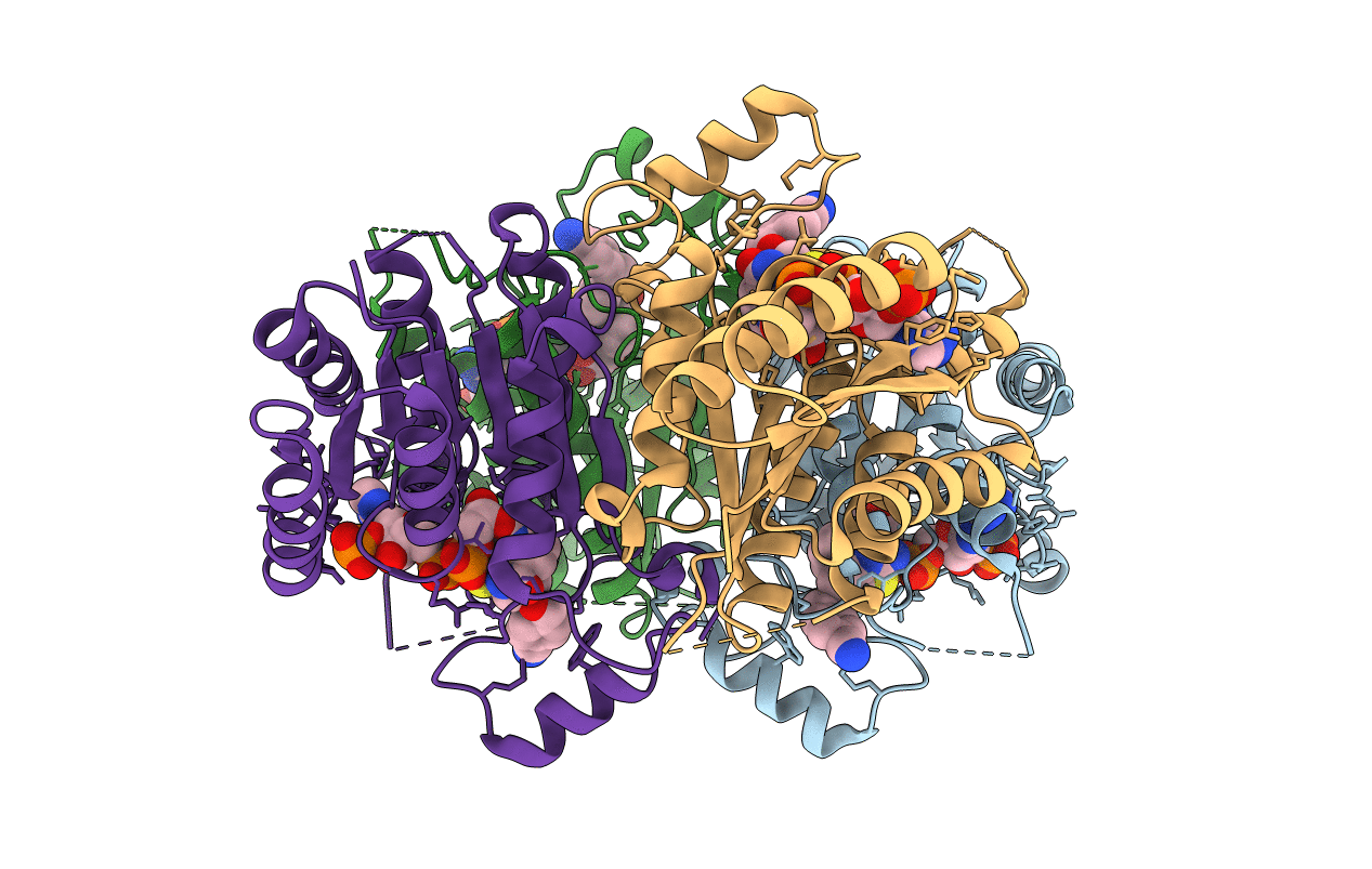 6GCK image