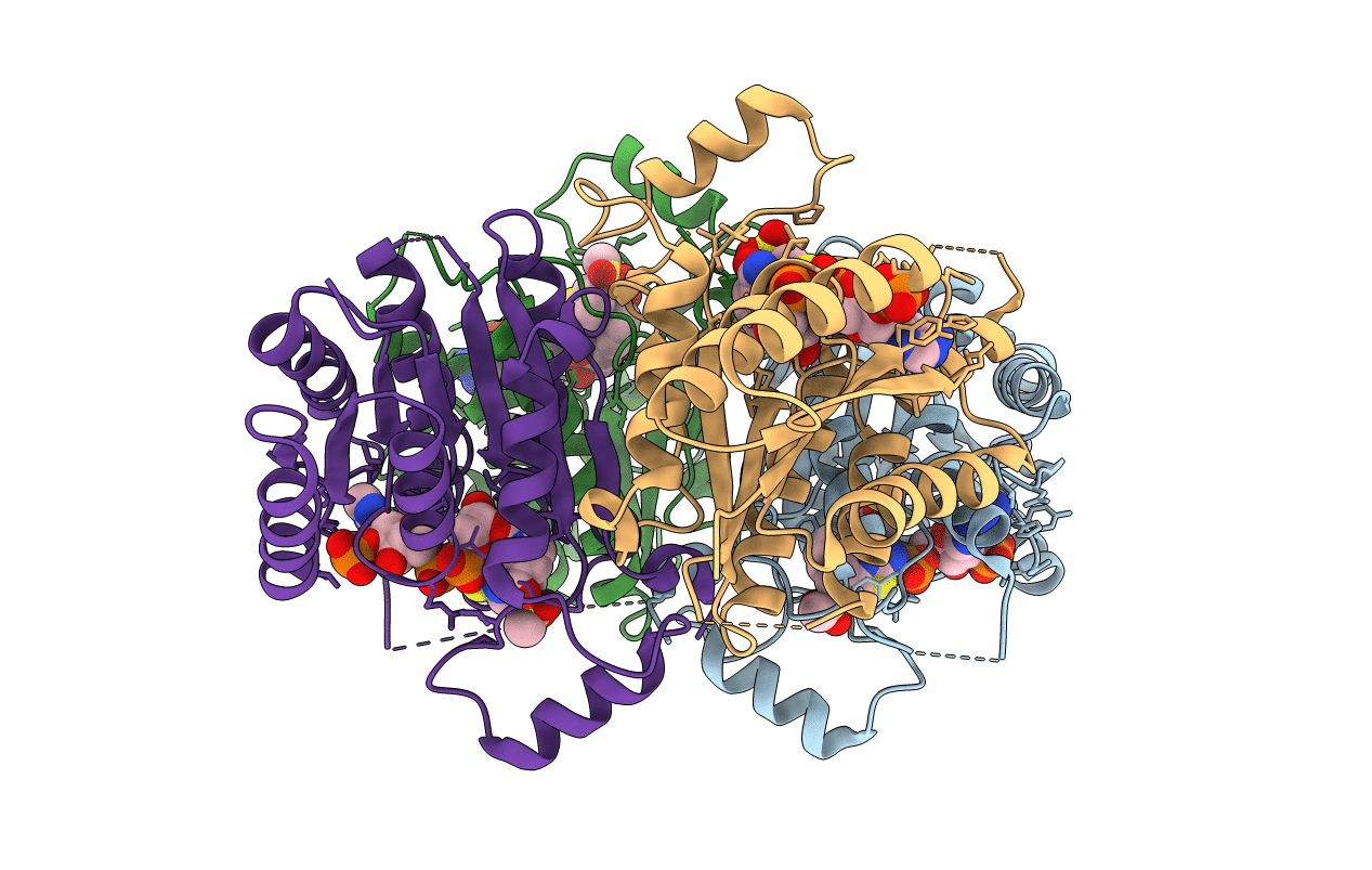 6GCL image