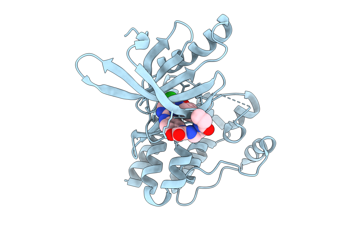 6GCR image