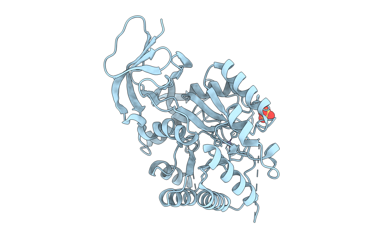 6GDD image