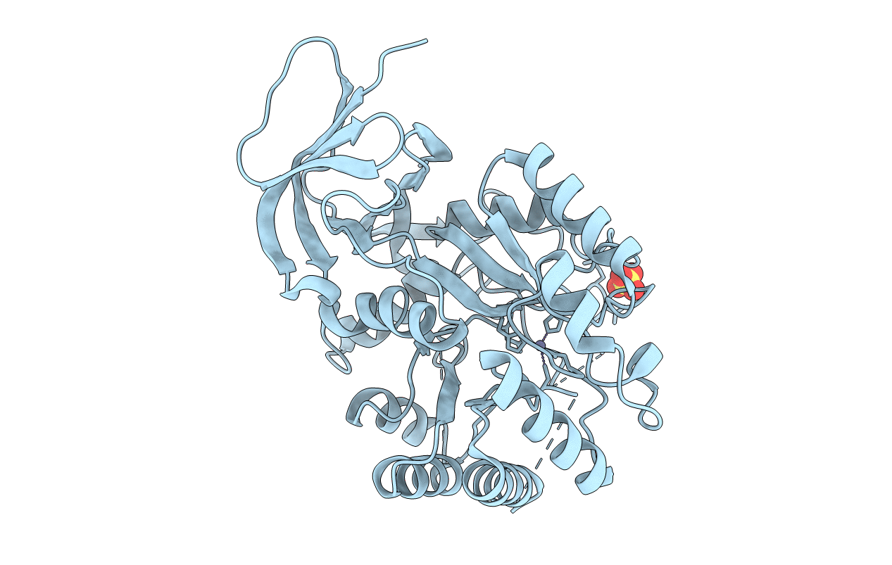 6GDF image