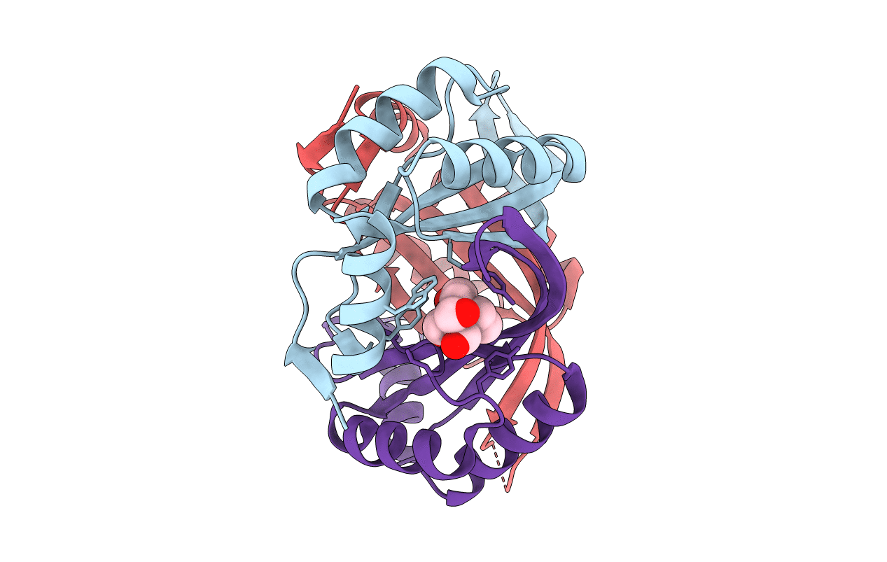 6GDV image