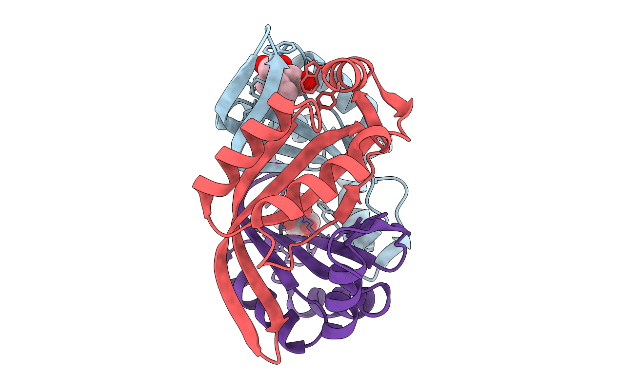 6GDW image