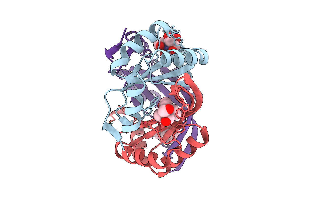 6GDX image