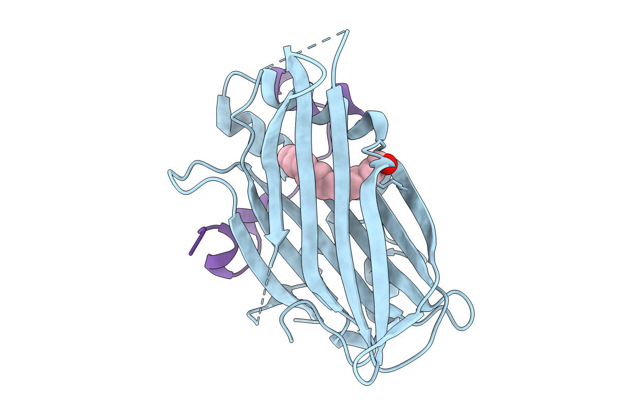 6GE5 image
