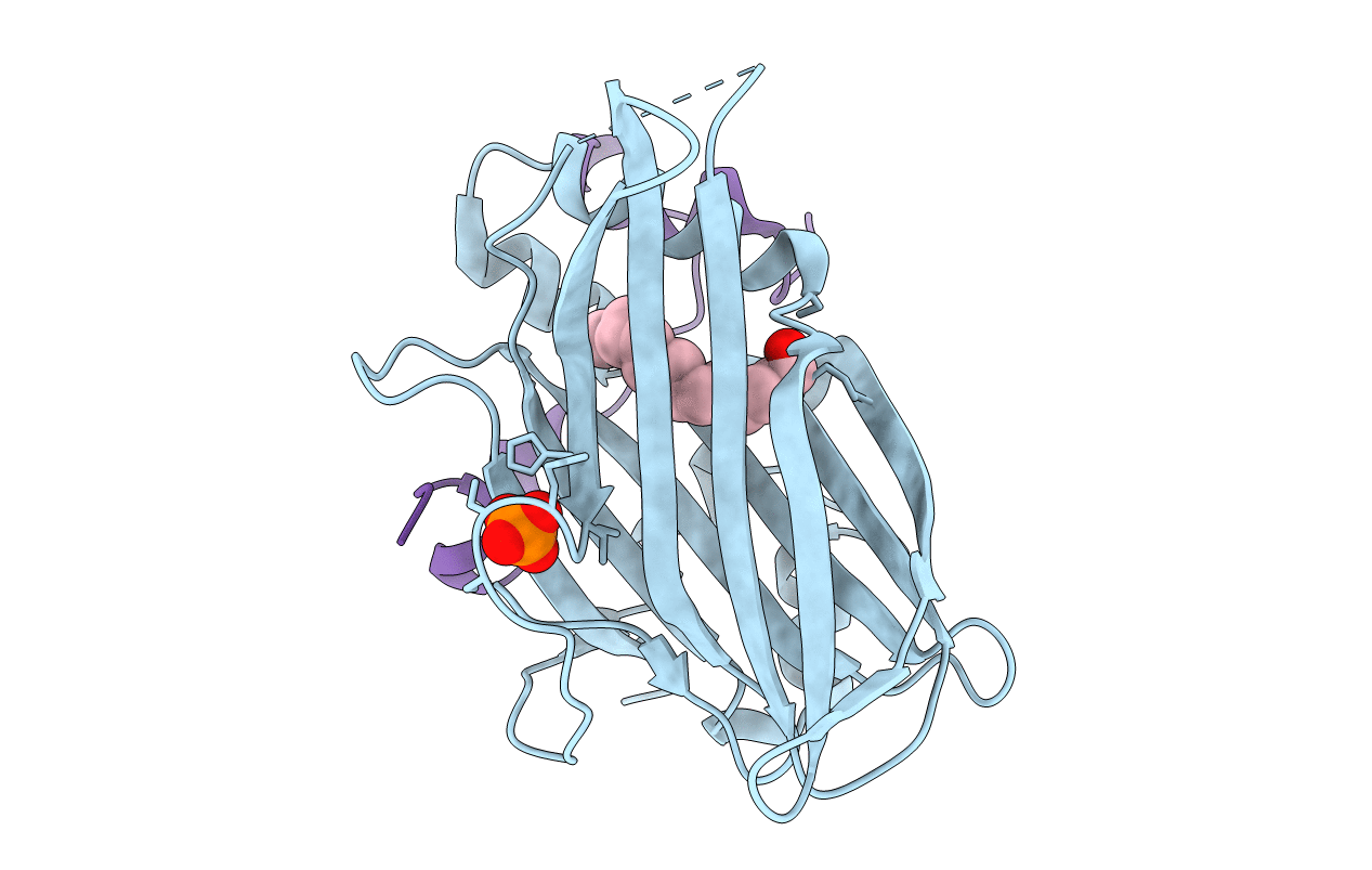 6GEI image