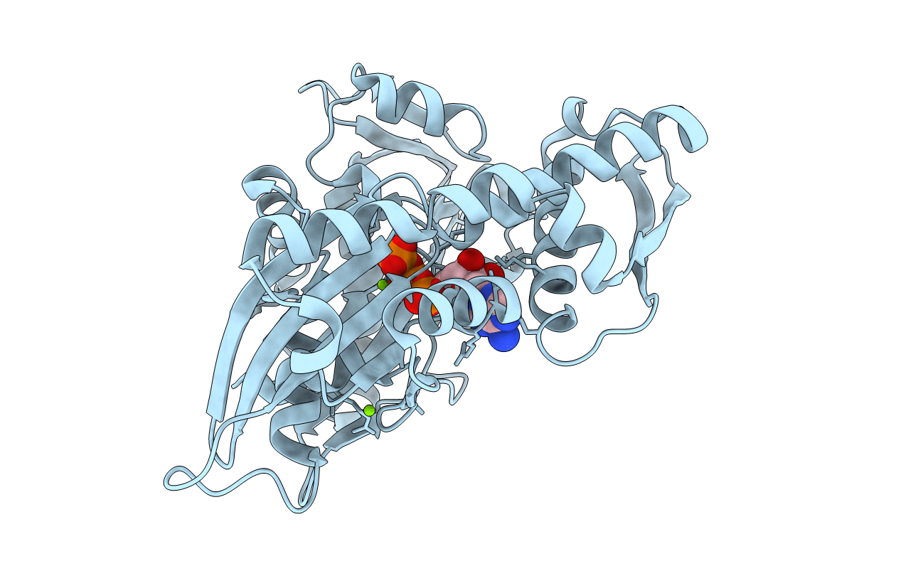 6GFA image