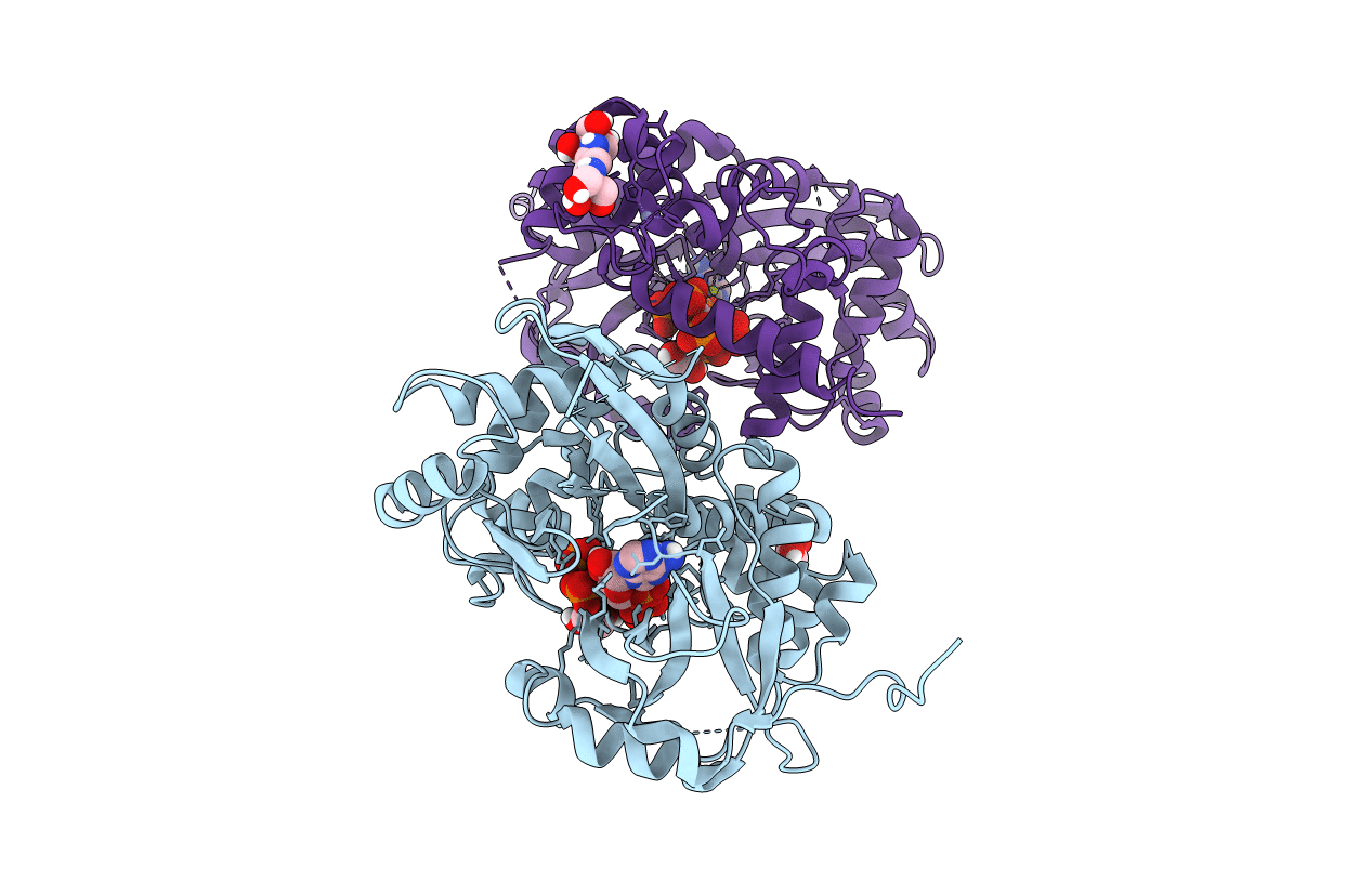 6GFH image