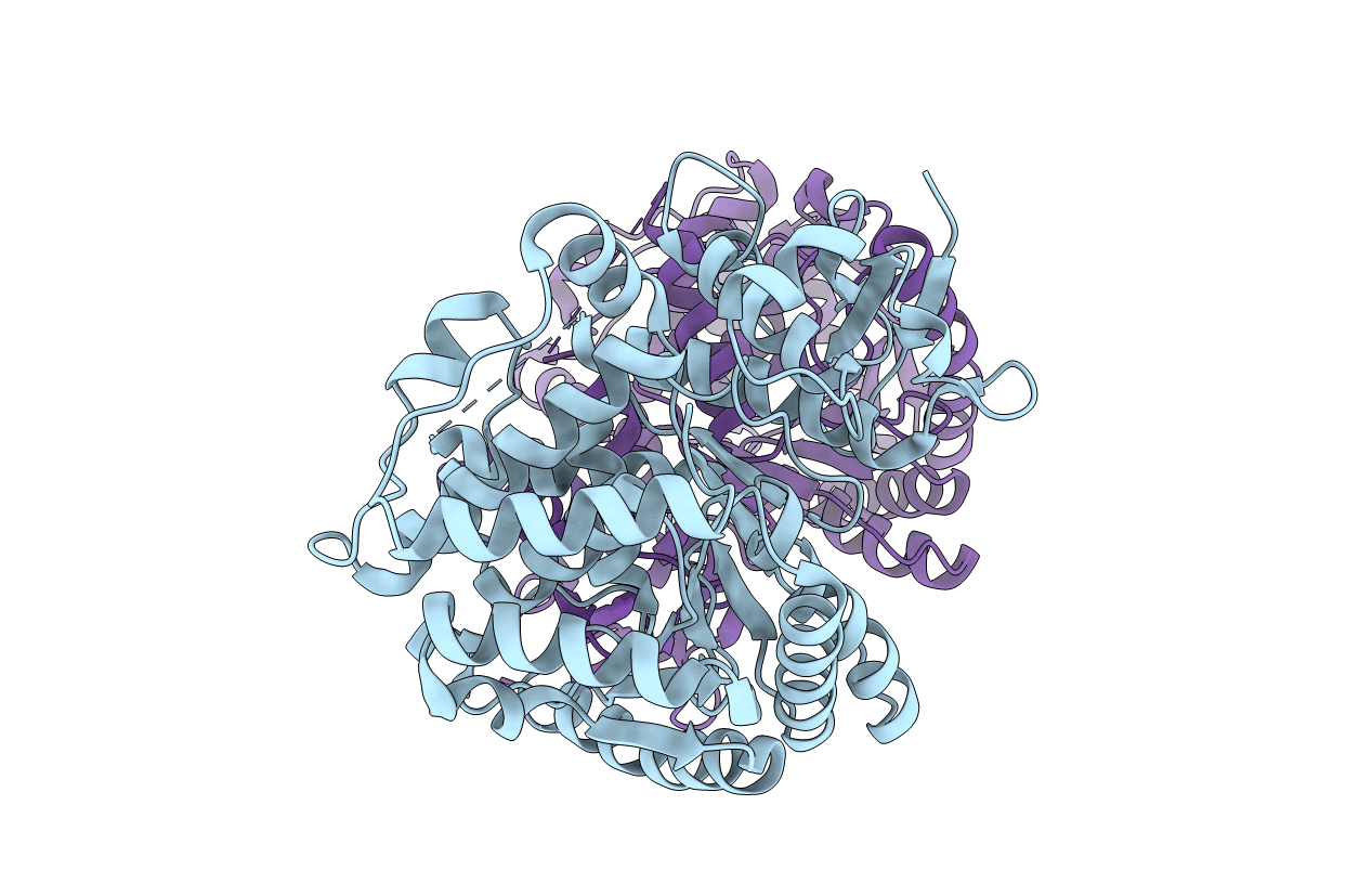 6GFL image