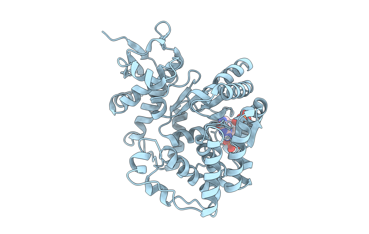 6GFM image