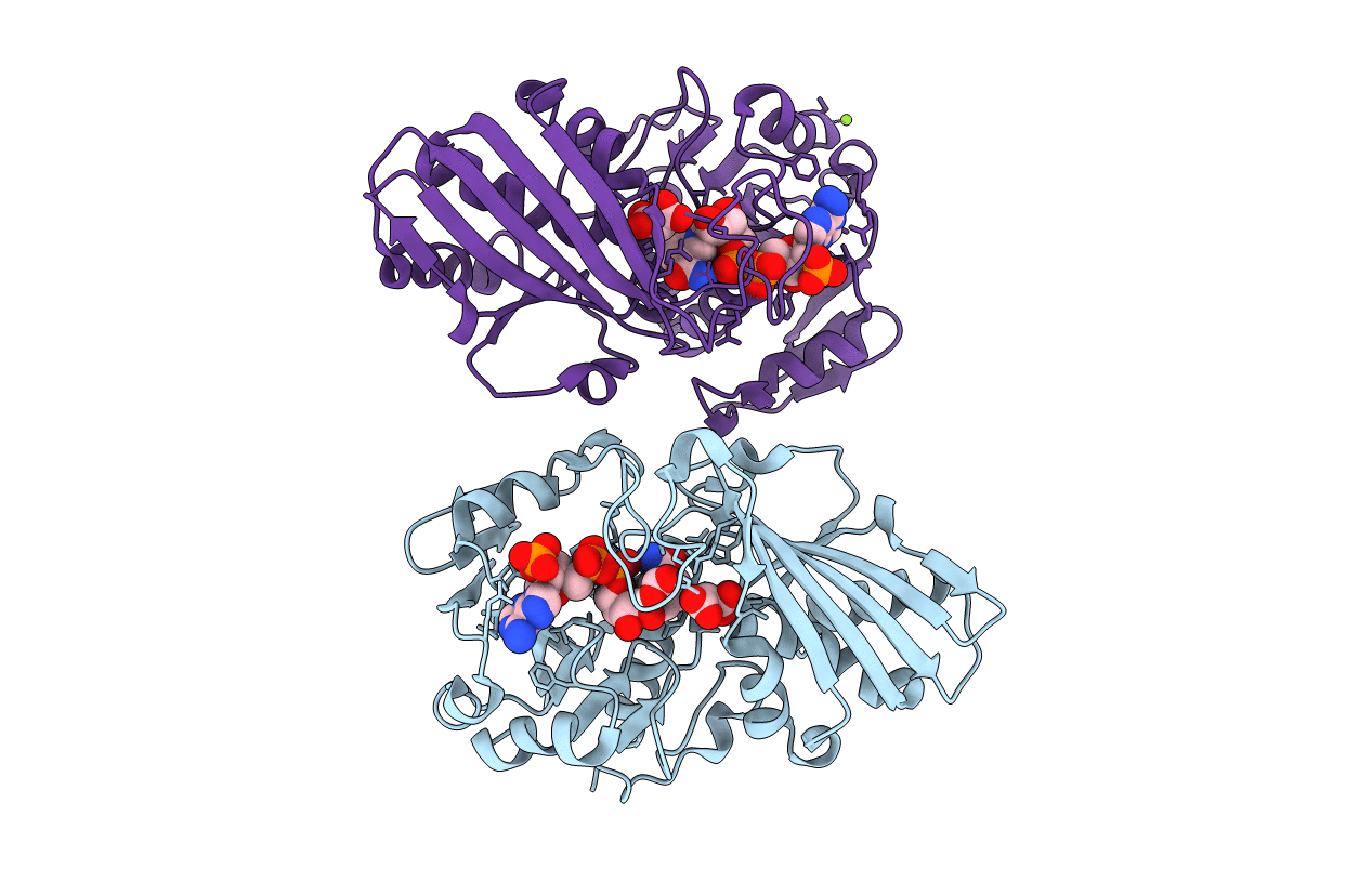 6GFP image