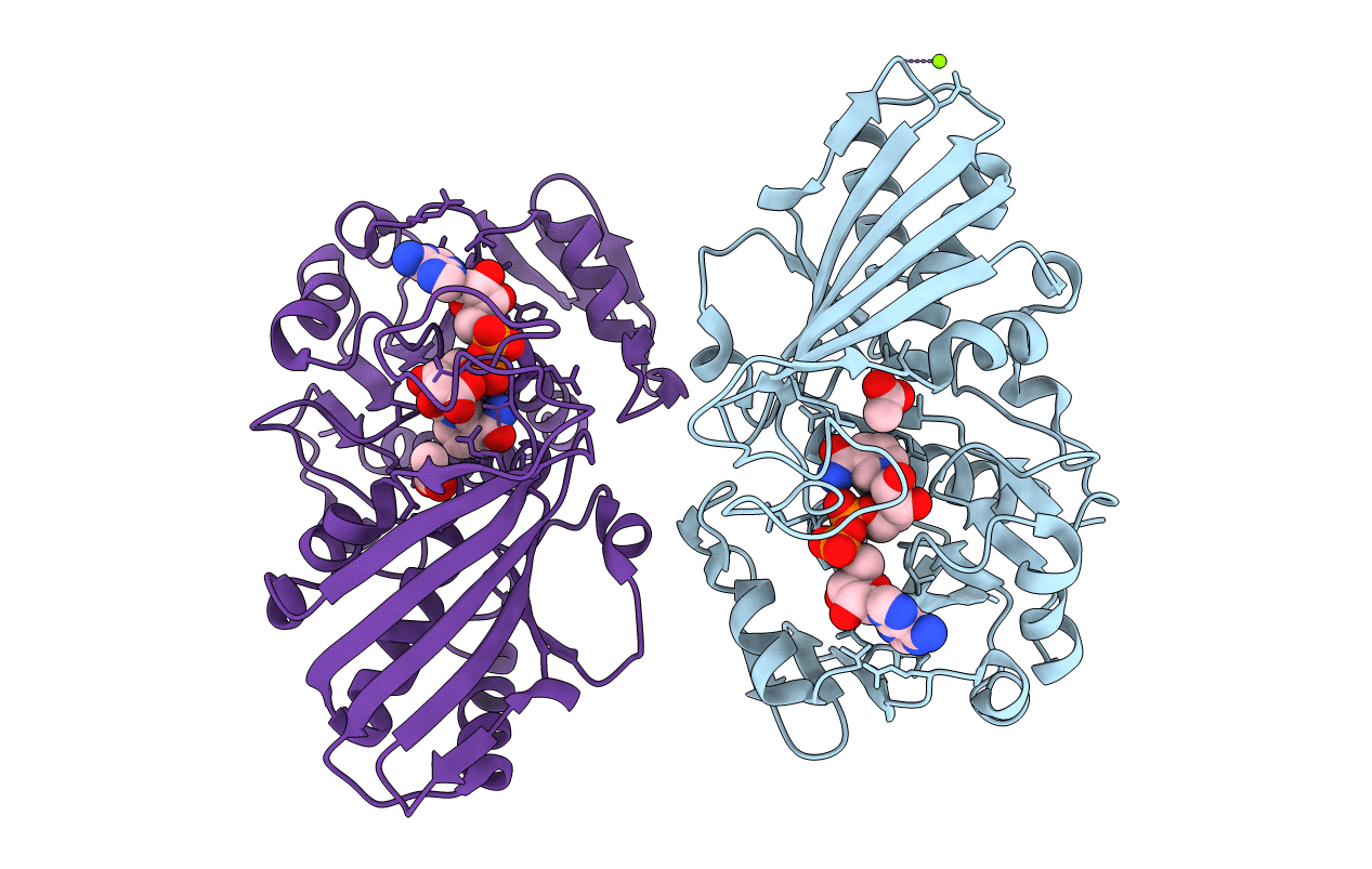 6GFR image
