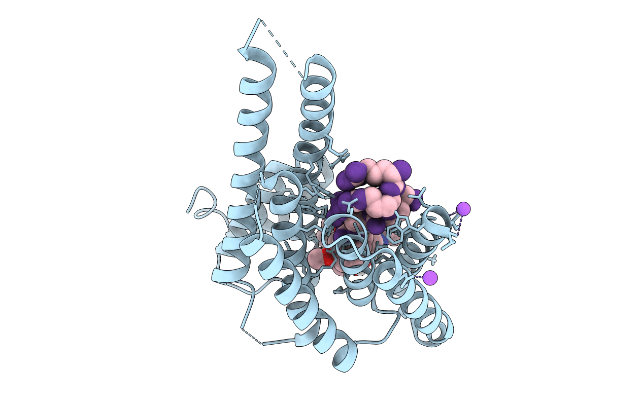 6GHP image