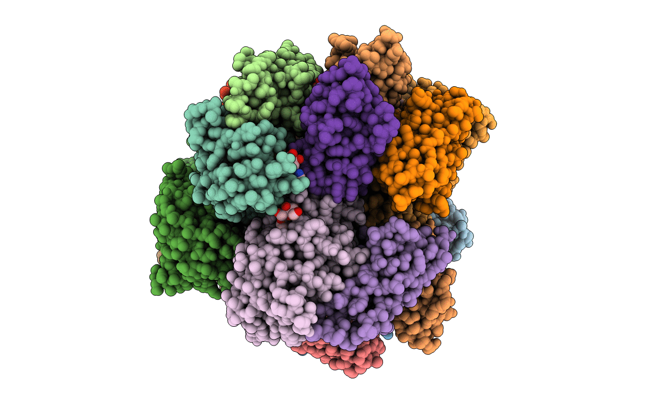 6GKD image