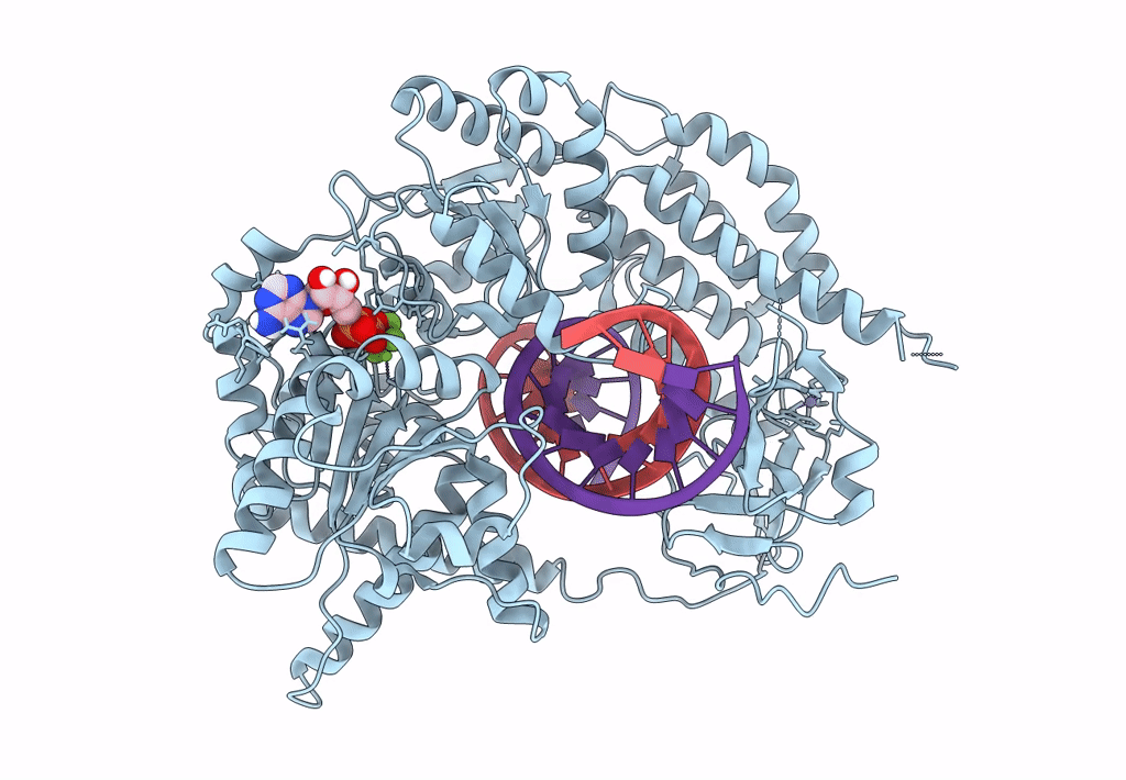 6GKH image